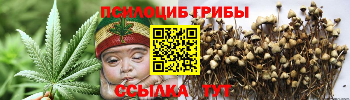 Псилоцибиновые грибы Psilocybe  наркотики  Жигулёвск  Псилоцибиновые грибы MAGIC MUSHROOMS  Вход с VPN 